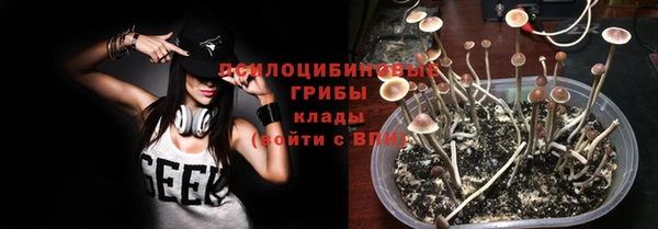 прущие грибы Бугульма