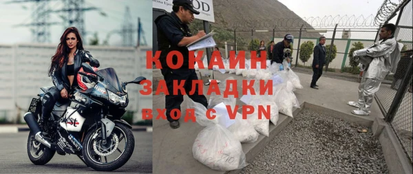 прущие грибы Бугульма