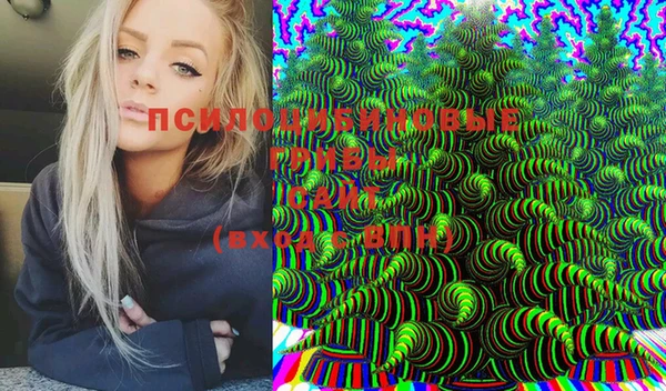 спиды Вязьма