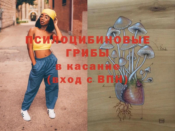 прущие грибы Бугульма