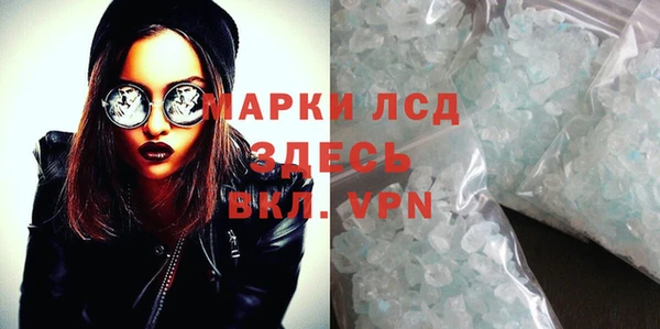 прущие грибы Бугульма
