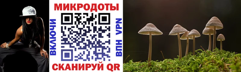 OMG tor  Ивантеевка  Галлюциногенные грибы Psilocybe 